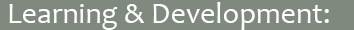 Learning & Development